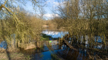 216 de eerstevrijdagwandeling